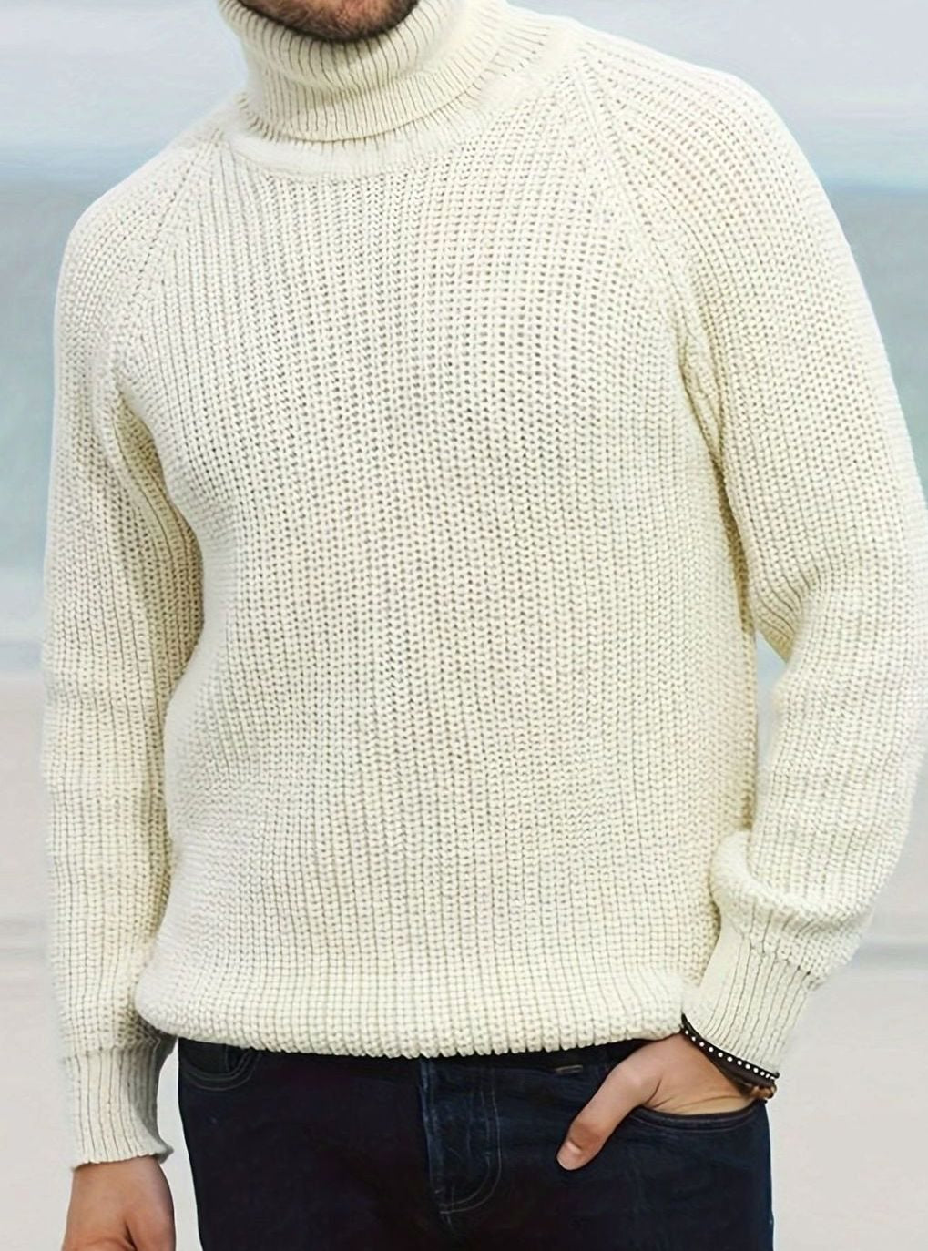 Men's Rib-Knit Roll-Neck Pullover – view 2